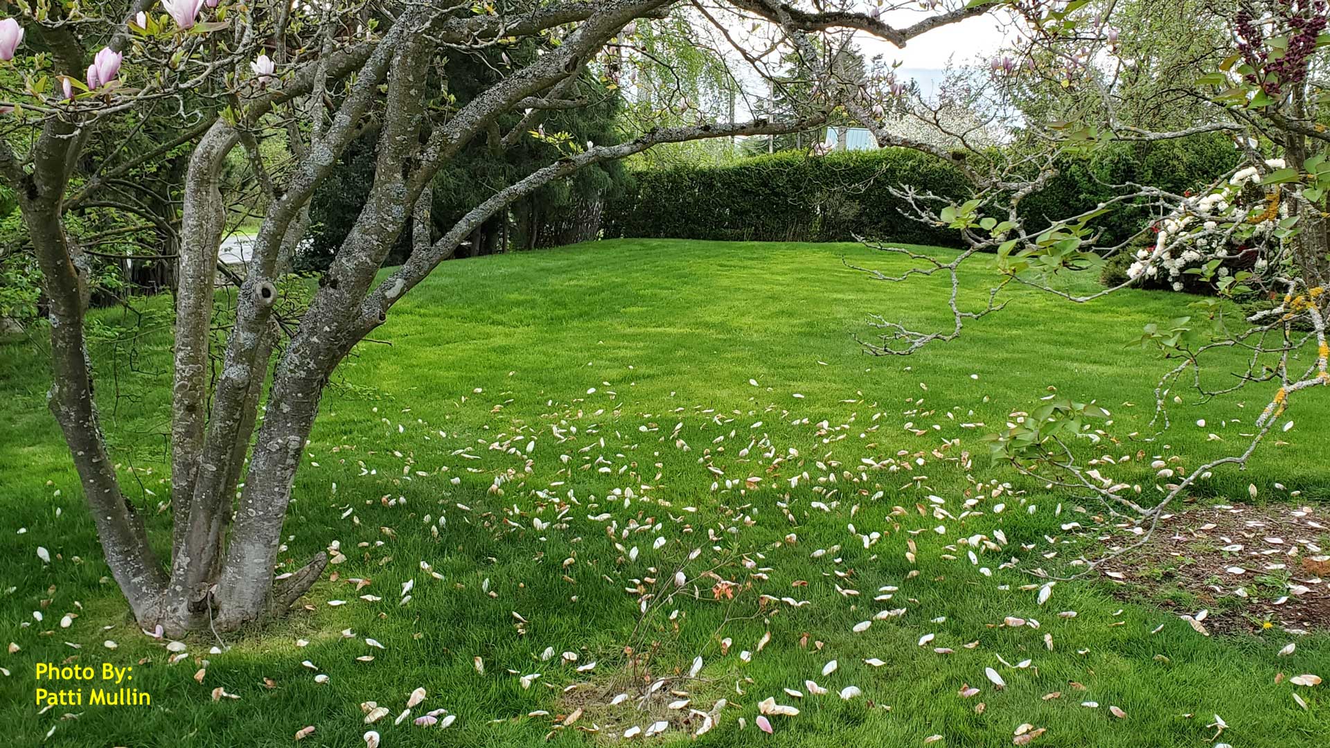 After: OSCAR-XO2, grassed in